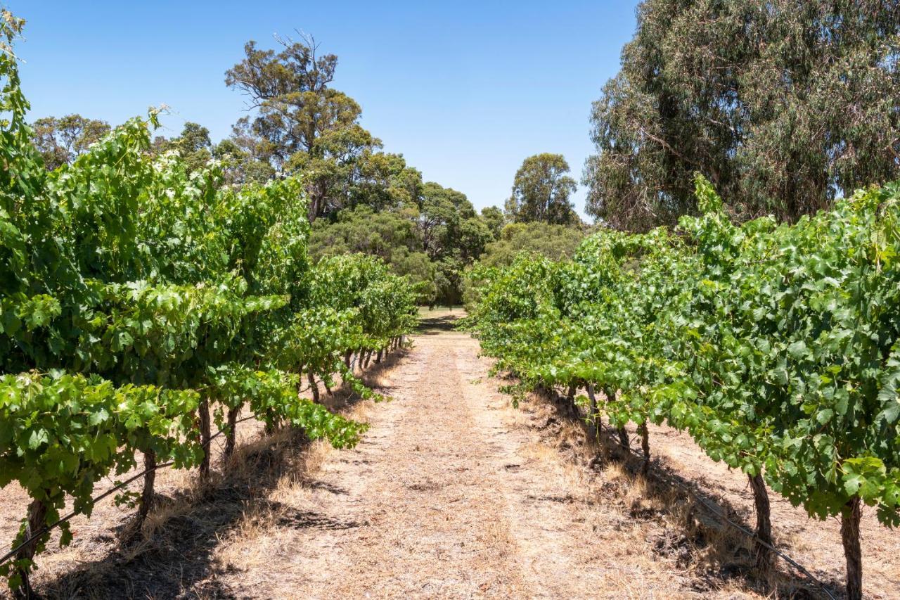 Island Brook Estate Vineyard And Chalets Yelverton Exterior photo