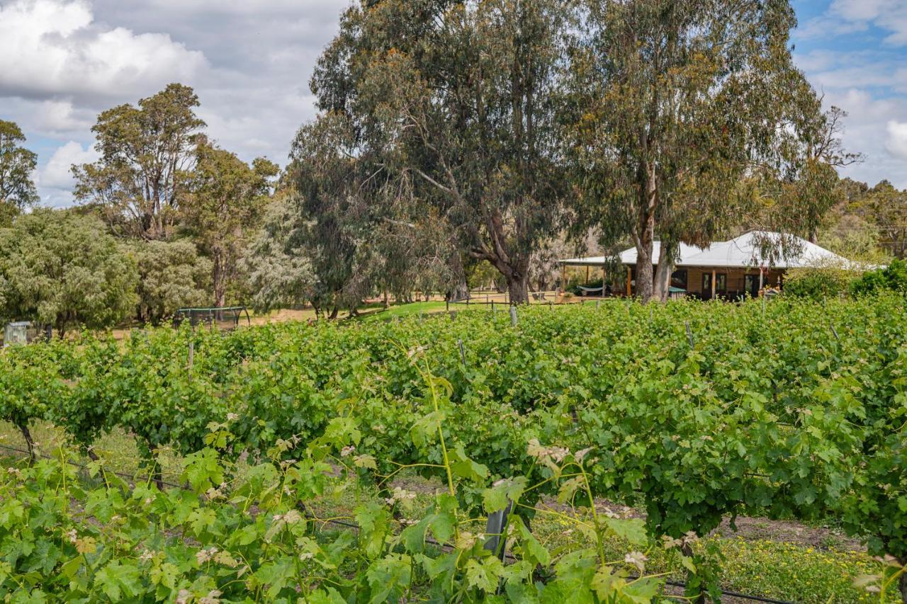 Island Brook Estate Vineyard And Chalets Yelverton Exterior photo